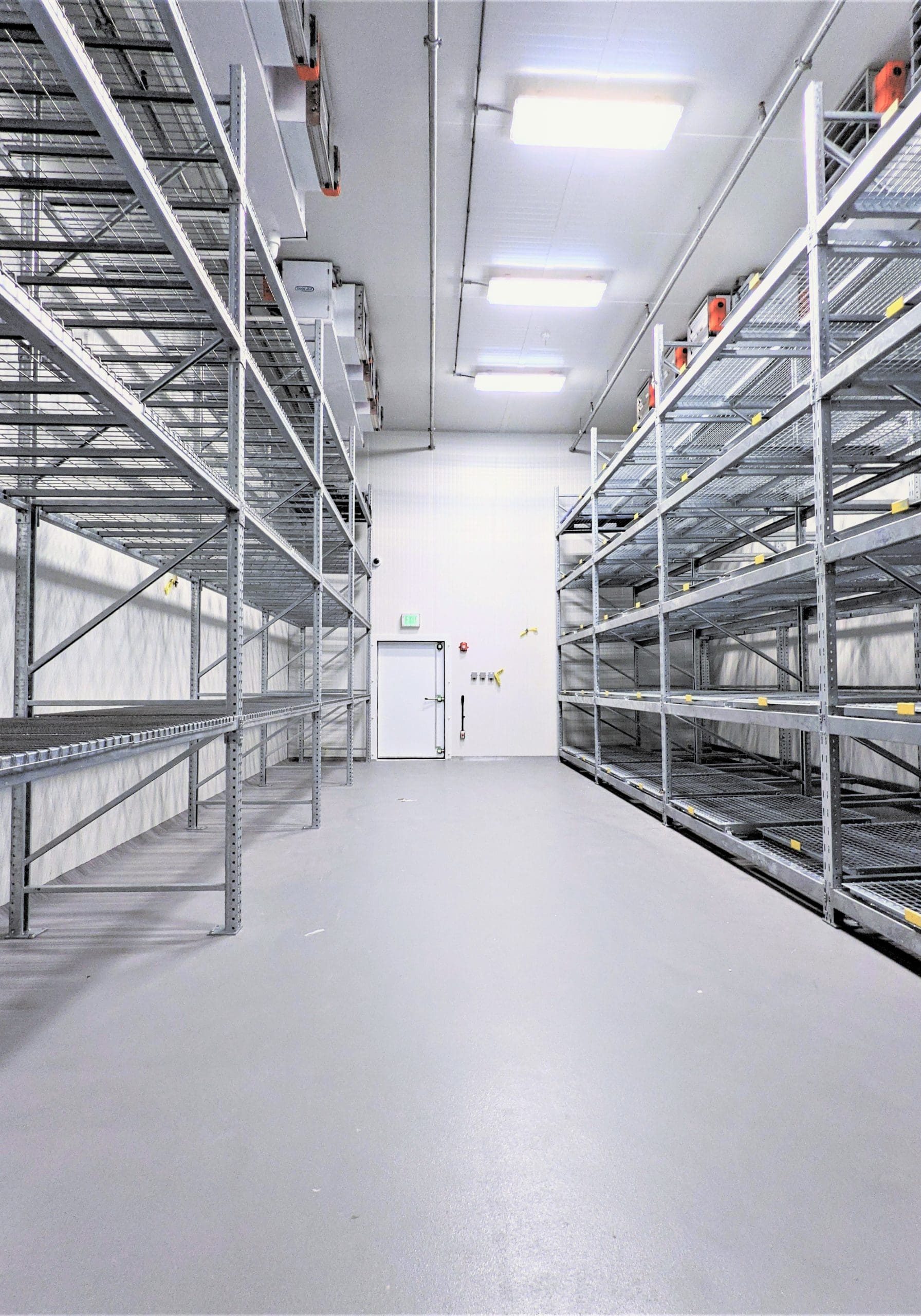 PXL_20210311_220737081- Andrea Edit 3